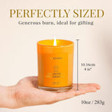 Balsam Cedar Candle, 10oz Soy Scented Candle for Home, Christmas Birthday &amp; Holiday Gifts for Women &amp; Men, Long Lasting 50 Hour Clean Non - Toxic Burn, Elegant Winter &amp; Christmas Festive Home Decor - Homesidy.com