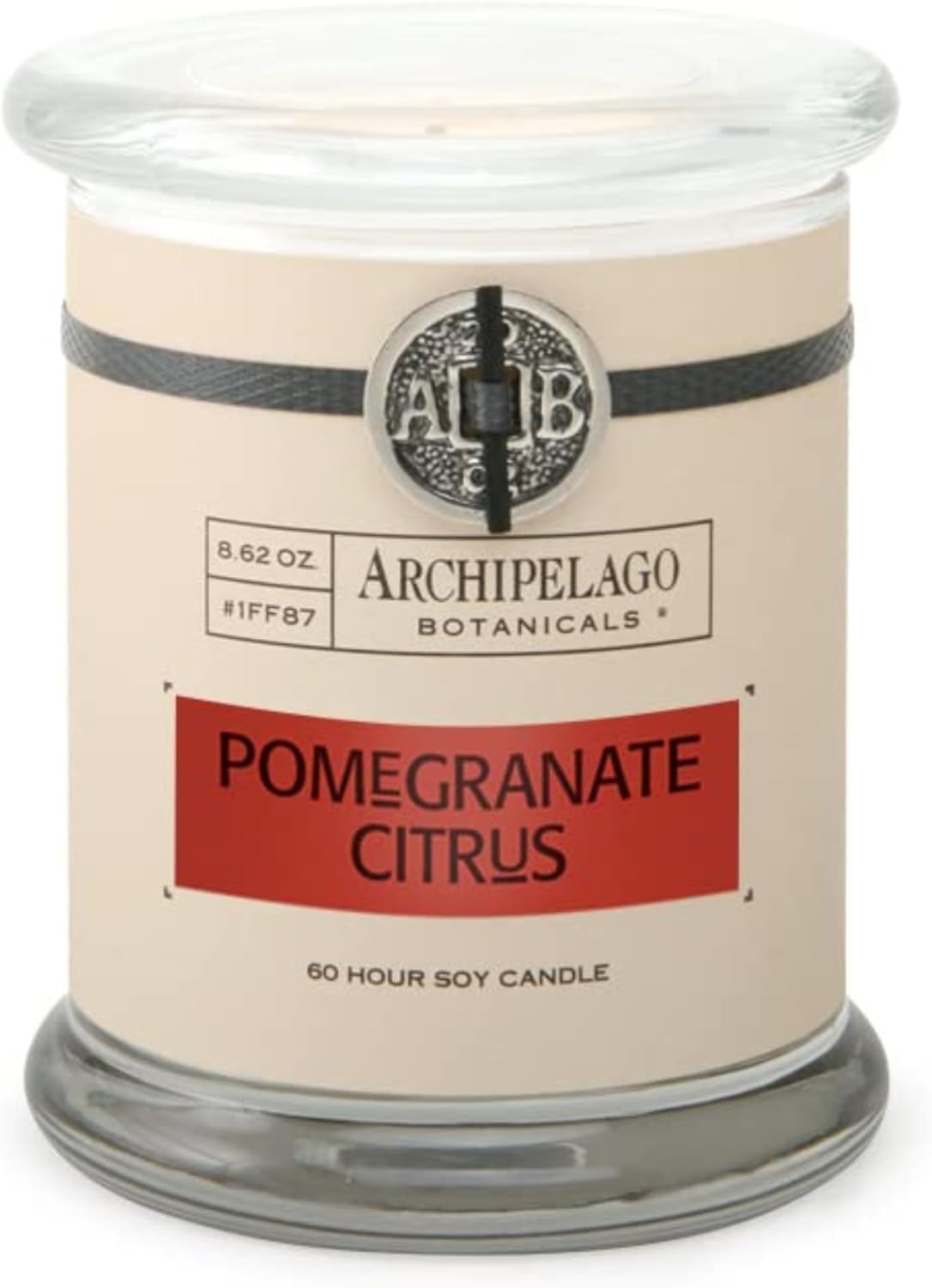 Archipelago Botanicals Scented Candle Hand - Poured Premium Wax, Burns Approx. 60 Hours, Pineapple Ginger, Soy Candle in Glass Jar, 4.5 Inch, 8.6 oz - Homesidy.com