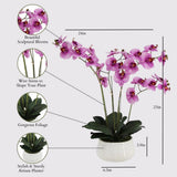 CG Hunter Faux White Orchid Plant, Premium Artificial Indoor Flower Display Stands 25 - Inches with Beautiful Sculptural Blooms and Foliage That Lasts Forever, Grey Planter Pot Included - Homesidy.com