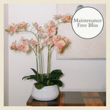 CG Hunter Faux White Orchid Plant, Premium Artificial Indoor Flower Display Stands 25 - Inches with Beautiful Sculptural Blooms and Foliage That Lasts Forever, Grey Planter Pot Included - Homesidy.com