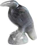 QLRSUXN Natural Black Obsidian Raven Figurines,2 Inch Healing Crystal Animal Statues,Lucky Guardian Pocket Crow Figurines as Women’s Gifts,Raven Statues for Office Home Decor and Ornament. - Homesidy.com