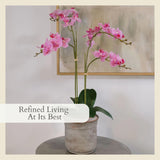 CG Hunter Faux White Orchid Plant, Premium Artificial Indoor Flower Display Stands 25 - Inches with Beautiful Sculptural Blooms and Foliage That Lasts Forever, Grey Planter Pot Included - Homesidy.com