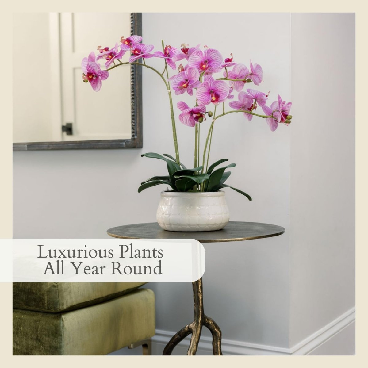 CG Hunter Faux White Orchid Plant, Premium Artificial Indoor Flower Display Stands 25 - Inches with Beautiful Sculptural Blooms and Foliage That Lasts Forever, Grey Planter Pot Included - Homesidy.com