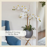 CG Hunter Faux White Orchid Plant, Premium Artificial Indoor Flower Display Stands 25 - Inches with Beautiful Sculptural Blooms and Foliage That Lasts Forever, Grey Planter Pot Included - Homesidy.com
