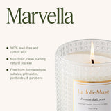 LA JOLIE MUSE Christmas Candle | Ruby Berry Bliss | Mandarin Cranberry &amp; Plum | 10 oz Festive Candle | 55 Hours Clean Burn | Gift for Women &amp; Family - Homesidy.com