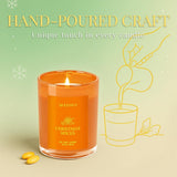 Balsam Cedar Candle, 10oz Soy Scented Candle for Home, Christmas Birthday &amp; Holiday Gifts for Women &amp; Men, Long Lasting 50 Hour Clean Non - Toxic Burn, Elegant Winter &amp; Christmas Festive Home Decor - Homesidy.com