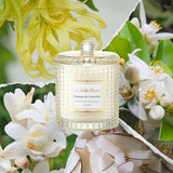 LA JOLIE MUSE Christmas Candle | Ruby Berry Bliss | Mandarin Cranberry &amp; Plum | 10 oz Festive Candle | 55 Hours Clean Burn | Gift for Women &amp; Family - Homesidy.com