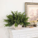 20 Pcs Christmas Norfolk Pine Branches - 18&34; Real Touch Artificial Norfolk Pine Branch Faux Plants Stem Fake Greenery Pine Picks for Vase DIY Crafts Garland Wreath Home Indoor Outdoor Decoration - Homesidy.com