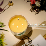 HomeLights Scented Candles for Women &amp; Men, 18oz Candle Jars Aromatherapy 4 - Wick Candle, Ideal for Rustic Modern Home Decor and Gifts, Blueberry Cheesecake - Homesidy.com