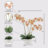 CG Hunter Faux White Orchid Plant, Premium Artificial Indoor Flower Display Stands 25 - Inches with Beautiful Sculptural Blooms and Foliage That Lasts Forever, Grey Planter Pot Included - Homesidy.com