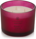 Chesapeake Bay Candle Mind &amp; Body 3 - Wick Coffee Table Jar Candle, Nourish Renew (Coconut &amp; Sandalwood) - Homesidy.com