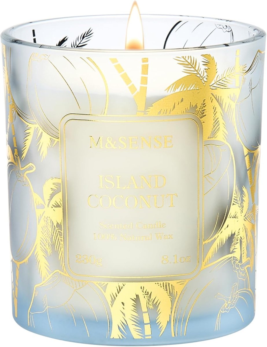 M&amp;SENSE Vanilla Scented Candles, Vegan Soy Candles, Creamy Naturally Scented, 8.1oz 42 - Hour Slow Burning Time, Toxic Free Winter Relaxing Sleep Thanksgiving Christmas Fancy Gift for Home Decor - Homesidy.com