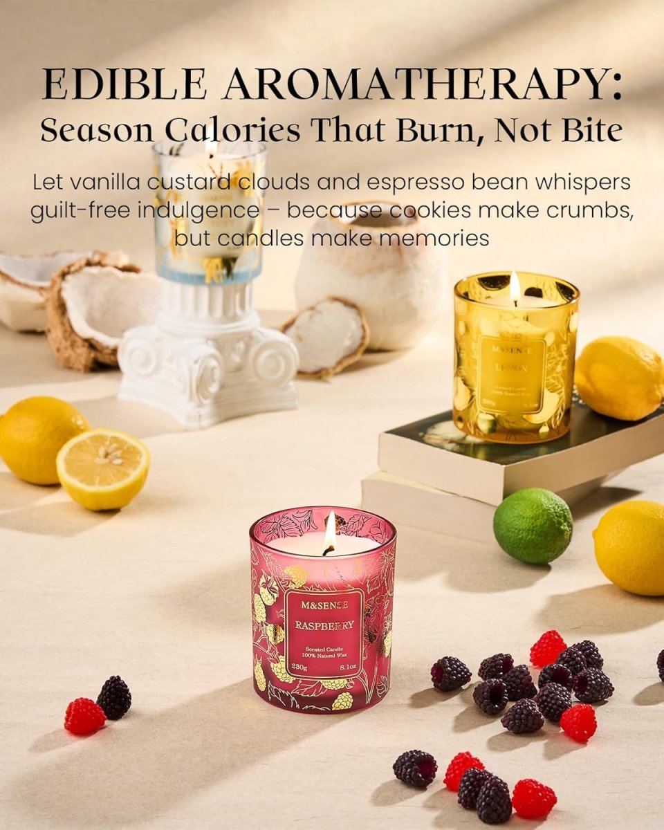M&amp;SENSE Vanilla Scented Candles, Vegan Soy Candles, Creamy Naturally Scented, 8.1oz 42 - Hour Slow Burning Time, Toxic Free Winter Relaxing Sleep Thanksgiving Christmas Fancy Gift for Home Decor - Homesidy.com