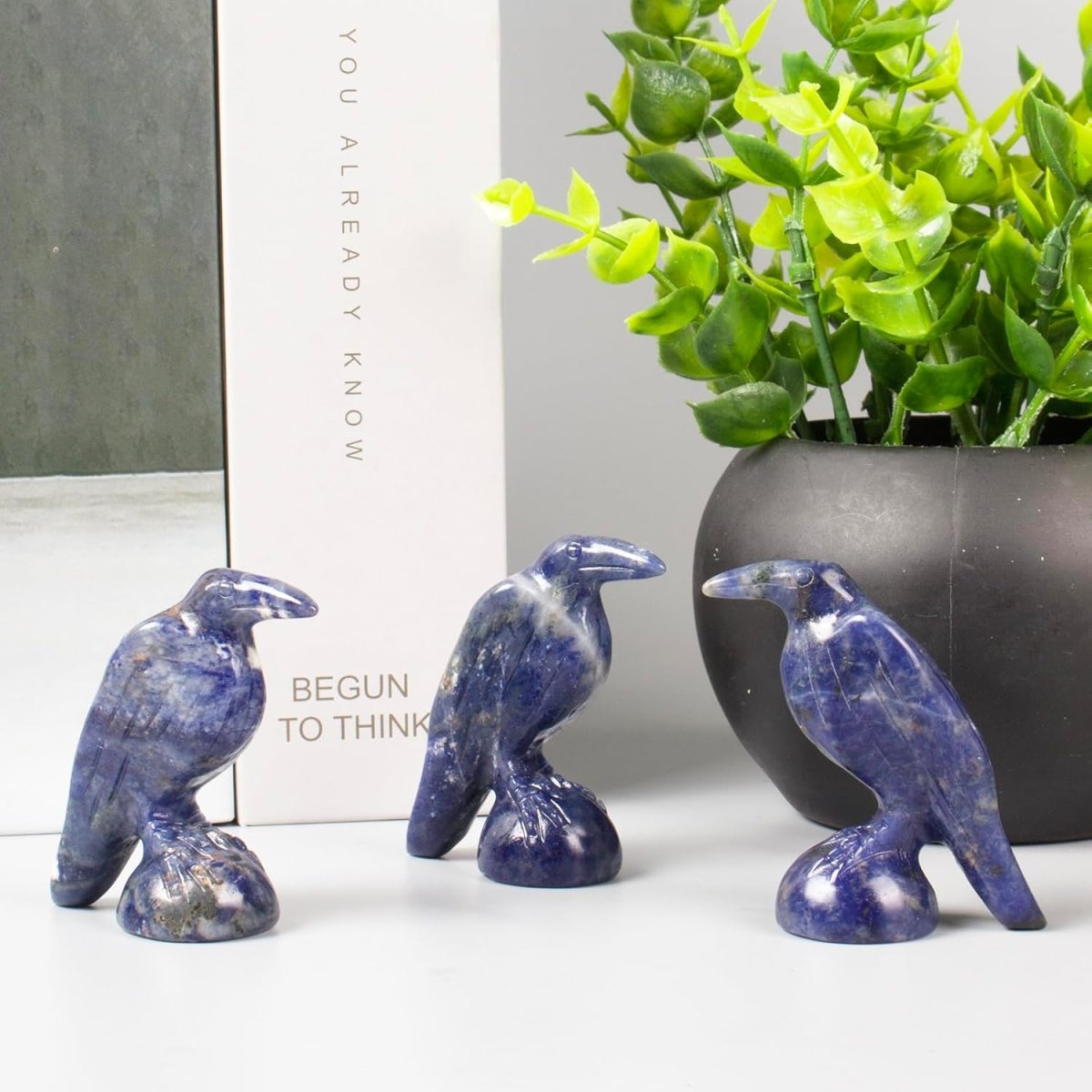 QLRSUXN Natural Black Obsidian Raven Figurines,2 Inch Healing Crystal Animal Statues,Lucky Guardian Pocket Crow Figurines as Women’s Gifts,Raven Statues for Office Home Decor and Ornament. - Homesidy.com