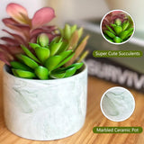 Karlliu Artificial Plants Cute Colourful Succulents in Ceramic Planter Fake Plant Flowers Potted for Home Living Room Office Desk Decor Bathroom Bedroom Indoor Decoration - Homesidy.com