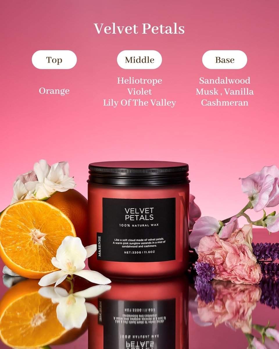 M&amp;SENSE Ode to Winter Soy Candles Strong Scented, 2 Wick Jar Candle 19.4oz 110 Hour Long Lasting, Lavender Sandalwood Organic Natural Aromatherapy Candle Gifts Bedroom Bathroom Home Decor - Homesidy.com