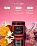 M&amp;SENSE Ode to Winter Soy Candles Strong Scented, 2 Wick Jar Candle 19.4oz 110 Hour Long Lasting, Lavender Sandalwood Organic Natural Aromatherapy Candle Gifts Bedroom Bathroom Home Decor - Homesidy.com
