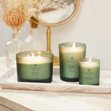 Chesapeake Bay Candle Mind &amp; Body 3 - Wick Coffee Table Jar Candle, Nourish Renew (Coconut &amp; Sandalwood) - Homesidy.com