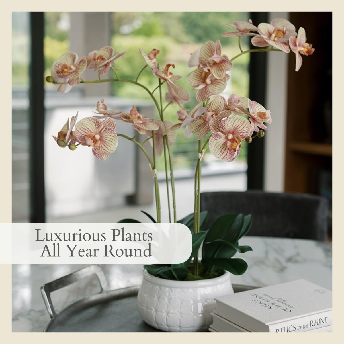 CG Hunter Faux White Orchid Plant, Premium Artificial Indoor Flower Display Stands 25 - Inches with Beautiful Sculptural Blooms and Foliage That Lasts Forever, Grey Planter Pot Included - Homesidy.com