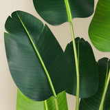 Artificial Bird of Paradise Plant 7Ft Fake Tropical Palm Tree with 17Trunks Faux Banana Leaf Trees in Pot for Home Indoor Outdoor Office Modern Decor Housewarming - Homesidy.com