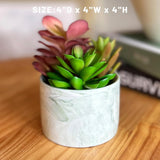 Karlliu Artificial Plants Cute Colourful Succulents in Ceramic Planter Fake Plant Flowers Potted for Home Living Room Office Desk Decor Bathroom Bedroom Indoor Decoration - Homesidy.com