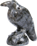 QLRSUXN Natural Black Obsidian Raven Figurines,2 Inch Healing Crystal Animal Statues,Lucky Guardian Pocket Crow Figurines as Women’s Gifts,Raven Statues for Office Home Decor and Ornament. - Homesidy.com