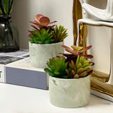 Karlliu Artificial Plants Cute Colourful Succulents in Ceramic Planter Fake Plant Flowers Potted for Home Living Room Office Desk Decor Bathroom Bedroom Indoor Decoration - Homesidy.com