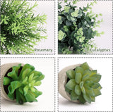 CEWOR 4 Pack Small Fake Plants Eucalyptus Rosemary Succulents Plants Artificial in Pots for Shelf Artificial Greenery Eucalyptus Plant Indoor for Home Bedroom Living Room Decoration - Homesidy.com