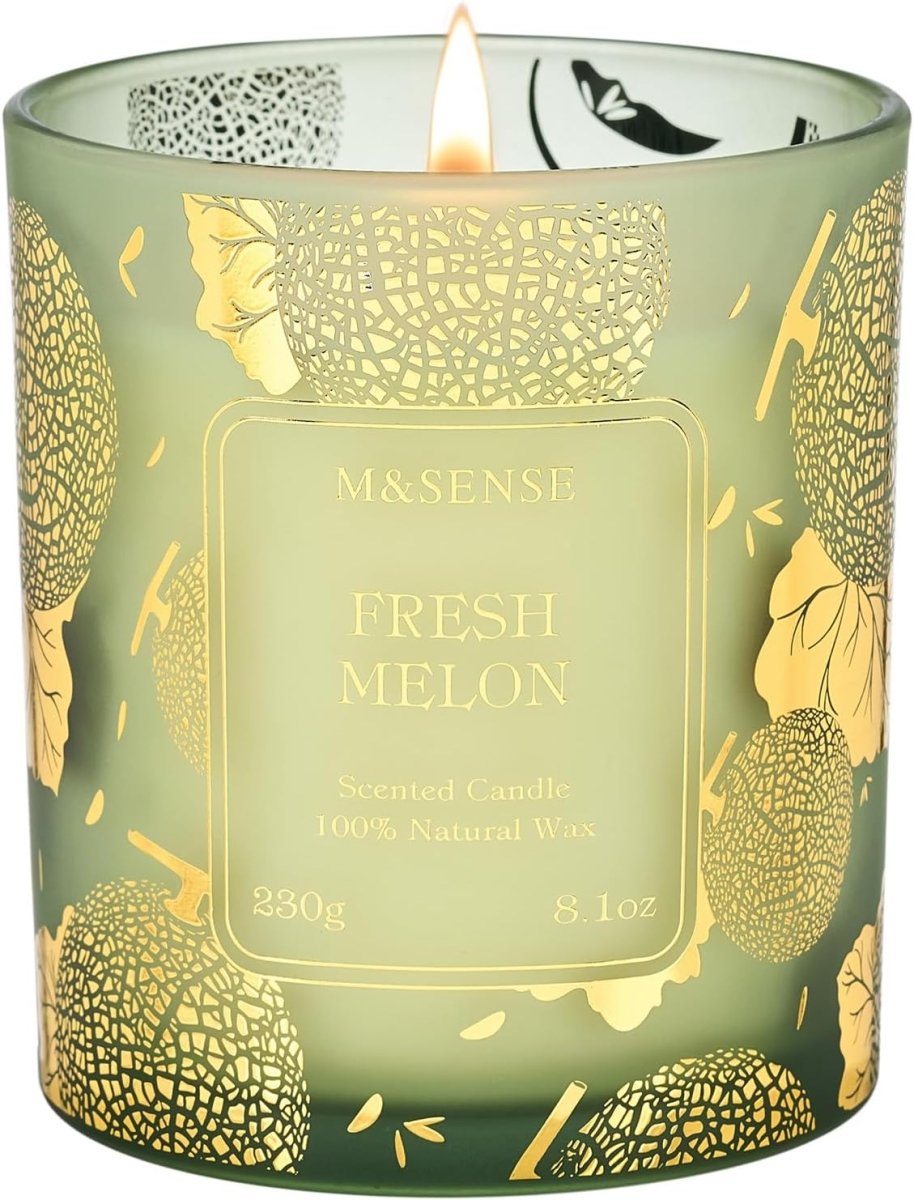 M&amp;SENSE Vanilla Scented Candles, Vegan Soy Candles, Creamy Naturally Scented, 8.1oz 42 - Hour Slow Burning Time, Toxic Free Winter Relaxing Sleep Thanksgiving Christmas Fancy Gift for Home Decor - Homesidy.com