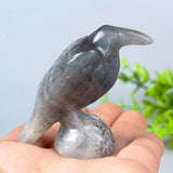 QLRSUXN Natural Black Obsidian Raven Figurines,2 Inch Healing Crystal Animal Statues,Lucky Guardian Pocket Crow Figurines as Women’s Gifts,Raven Statues for Office Home Decor and Ornament. - Homesidy.com