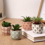 Karlliu Artificial Plants Cute Colourful Succulents in Ceramic Planter Fake Plant Flowers Potted for Home Living Room Office Desk Decor Bathroom Bedroom Indoor Decoration - Homesidy.com