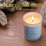 Balsam Cedar Candle, 10oz Soy Scented Candle for Home, Christmas Birthday &amp; Holiday Gifts for Women &amp; Men, Long Lasting 50 Hour Clean Non - Toxic Burn, Elegant Winter &amp; Christmas Festive Home Decor - Homesidy.com