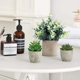 CEWOR 4 Pack Small Fake Plants Eucalyptus Rosemary Succulents Plants Artificial in Pots for Shelf Artificial Greenery Eucalyptus Plant Indoor for Home Bedroom Living Room Decoration - Homesidy.com