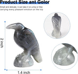 QLRSUXN Natural Black Obsidian Raven Figurines,2 Inch Healing Crystal Animal Statues,Lucky Guardian Pocket Crow Figurines as Women’s Gifts,Raven Statues for Office Home Decor and Ornament. - Homesidy.com