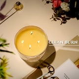 HomeLights Scented Candles for Women &amp; Men, 18oz Candle Jars Aromatherapy 4 - Wick Candle, Ideal for Rustic Modern Home Decor and Gifts, Blueberry Cheesecake - Homesidy.com