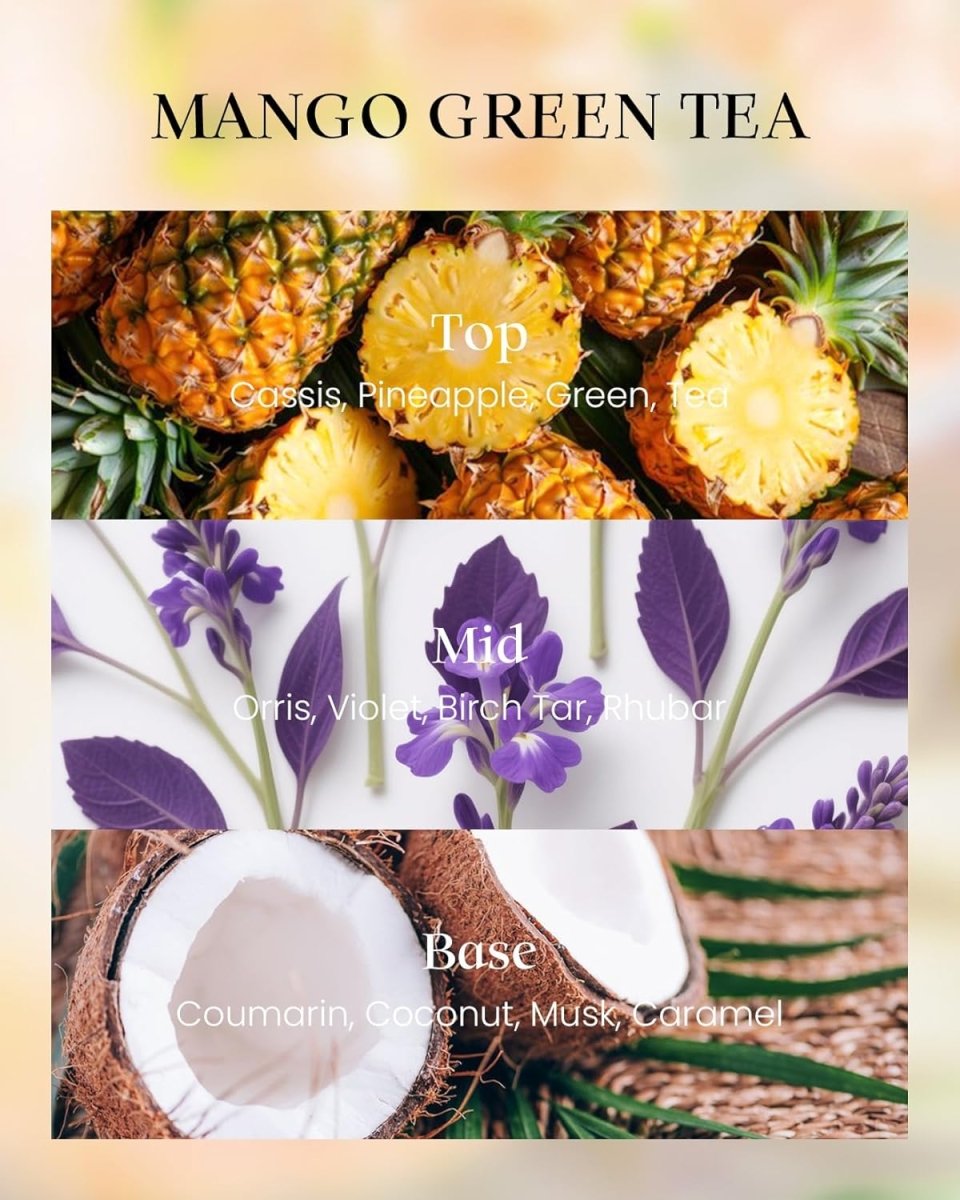 M&amp;SENSE Vanilla Scented Candles, Vegan Soy Candles, Creamy Naturally Scented, 8.1oz 42 - Hour Slow Burning Time, Toxic Free Winter Relaxing Sleep Thanksgiving Christmas Fancy Gift for Home Decor - Homesidy.com
