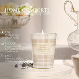 HomeLights Scented Candles for Women &amp; Men, 18oz Candle Jars Aromatherapy 4 - Wick Candle, Ideal for Rustic Modern Home Decor and Gifts, Blueberry Cheesecake - Homesidy.com