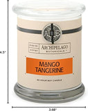 Archipelago Botanicals Scented Candle Hand - Poured Premium Wax, Burns Approx. 60 Hours, Pineapple Ginger, Soy Candle in Glass Jar, 4.5 Inch, 8.6 oz - Homesidy.com