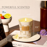 HomeLights Scented Candles for Women &amp; Men, 18oz Candle Jars Aromatherapy 4 - Wick Candle, Ideal for Rustic Modern Home Decor and Gifts, Blueberry Cheesecake - Homesidy.com