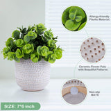 Karlliu Artificial Plants Cute Colourful Succulents in Ceramic Planter Fake Plant Flowers Potted for Home Living Room Office Desk Decor Bathroom Bedroom Indoor Decoration - Homesidy.com
