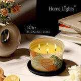 HomeLights Scented Candles for Women &amp; Men, 18oz Candle Jars Aromatherapy 4 - Wick Candle, Ideal for Rustic Modern Home Decor and Gifts, Blueberry Cheesecake - Homesidy.com