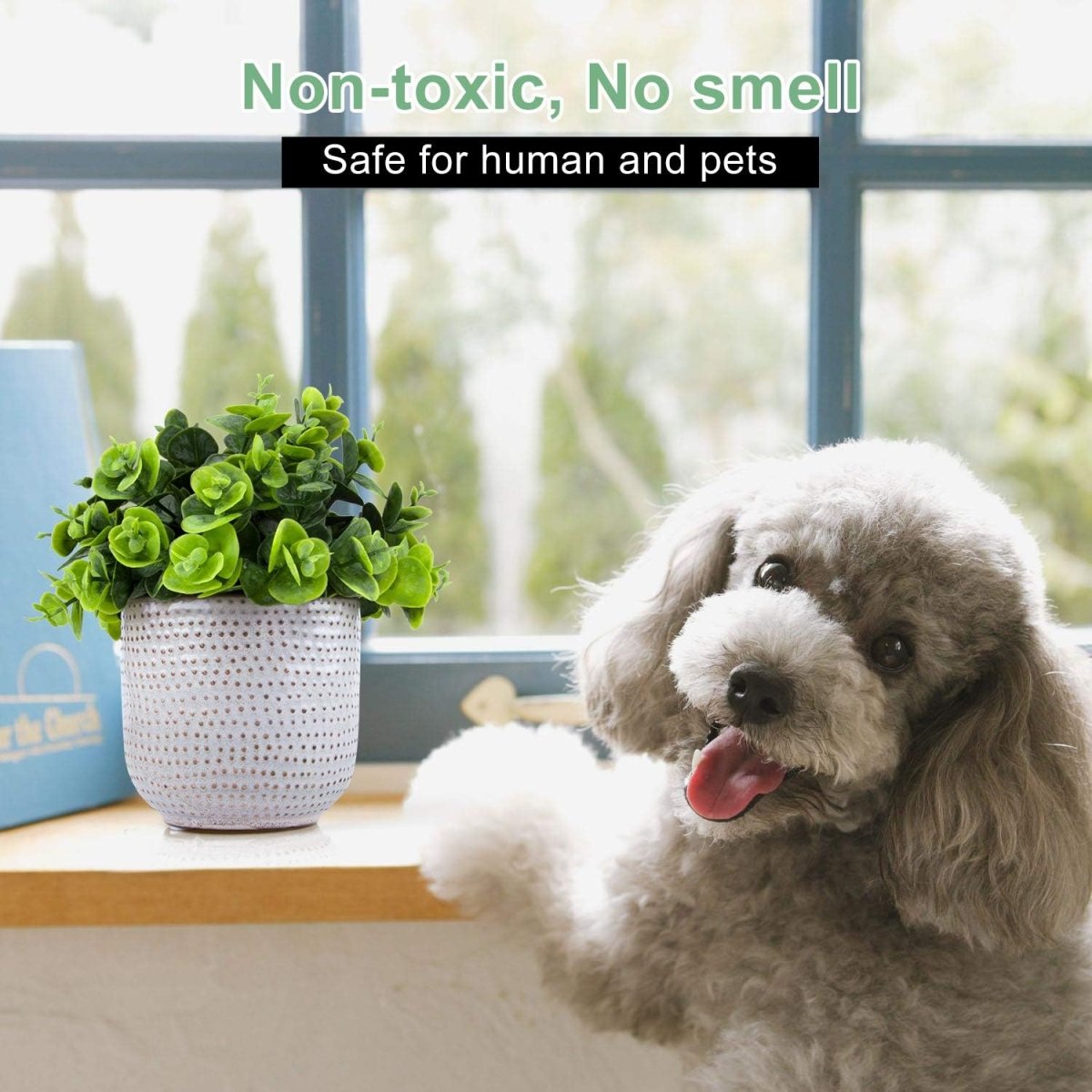 Karlliu Artificial Plants Cute Colourful Succulents in Ceramic Planter Fake Plant Flowers Potted for Home Living Room Office Desk Decor Bathroom Bedroom Indoor Decoration - Homesidy.com