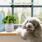 Karlliu Artificial Plants Cute Colourful Succulents in Ceramic Planter Fake Plant Flowers Potted for Home Living Room Office Desk Decor Bathroom Bedroom Indoor Decoration - Homesidy.com