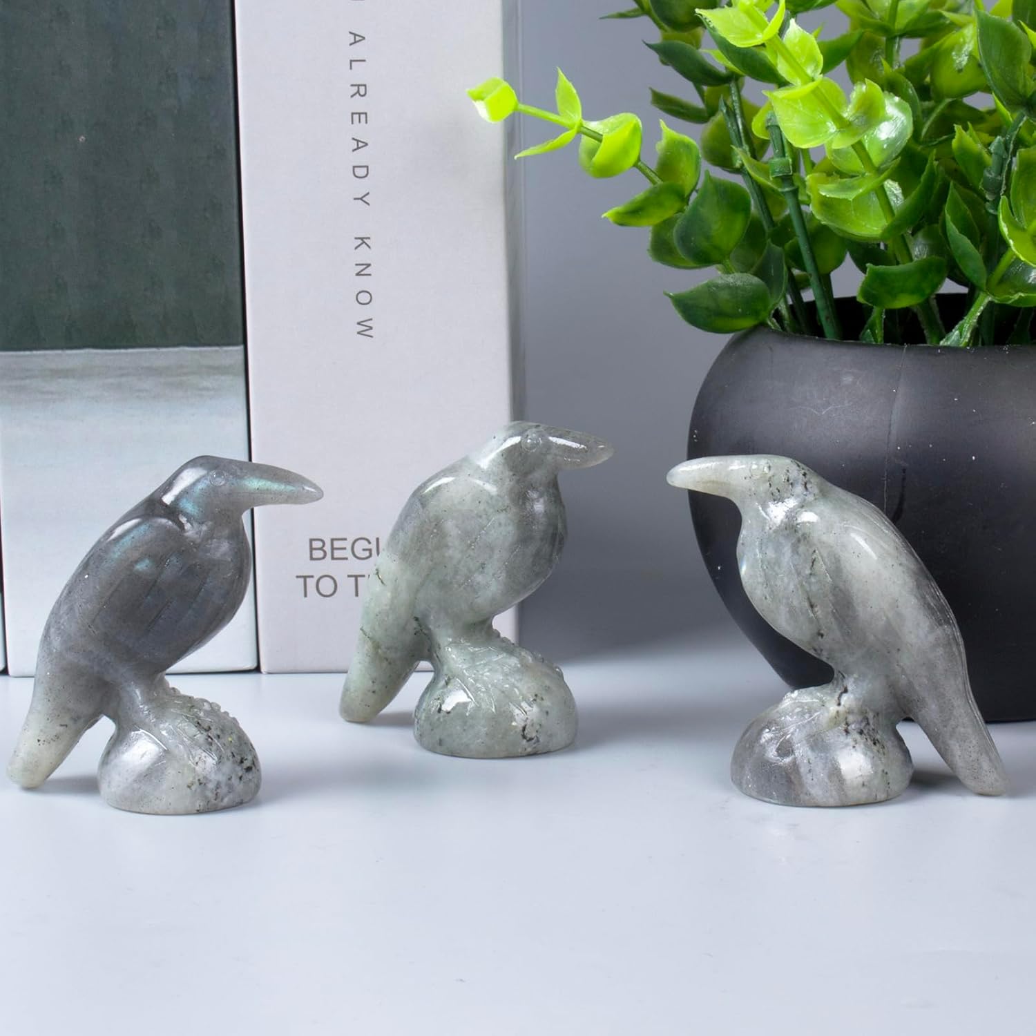 QLRSUXN Natural Black Obsidian Raven Figurines,2 Inch Healing Crystal Animal Statues,Lucky Guardian Pocket Crow Figurines as Women’s Gifts,Raven Statues for Office Home Decor and Ornament. - Homesidy.com