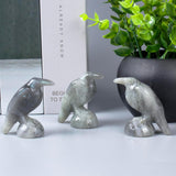 QLRSUXN Natural Black Obsidian Raven Figurines,2 Inch Healing Crystal Animal Statues,Lucky Guardian Pocket Crow Figurines as Women’s Gifts,Raven Statues for Office Home Decor and Ornament. - Homesidy.com