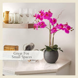 CG Hunter Faux White Orchid Plant, Premium Artificial Indoor Flower Display Stands 25 - Inches with Beautiful Sculptural Blooms and Foliage That Lasts Forever, Grey Planter Pot Included - Homesidy.com