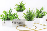 Der Rose 4 Pack Fake Plants Mini Artificial Greenery Potted Plants for Home Decor Indoor Office Table Room Farmhouse Bathroom Decor - Homesidy.com