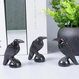 QLRSUXN Natural Black Obsidian Raven Figurines,2 Inch Healing Crystal Animal Statues,Lucky Guardian Pocket Crow Figurines as Women’s Gifts,Raven Statues for Office Home Decor and Ornament. - Homesidy.com