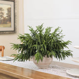 20 Pcs Christmas Norfolk Pine Branches - 18&34; Real Touch Artificial Norfolk Pine Branch Faux Plants Stem Fake Greenery Pine Picks for Vase DIY Crafts Garland Wreath Home Indoor Outdoor Decoration - Homesidy.com