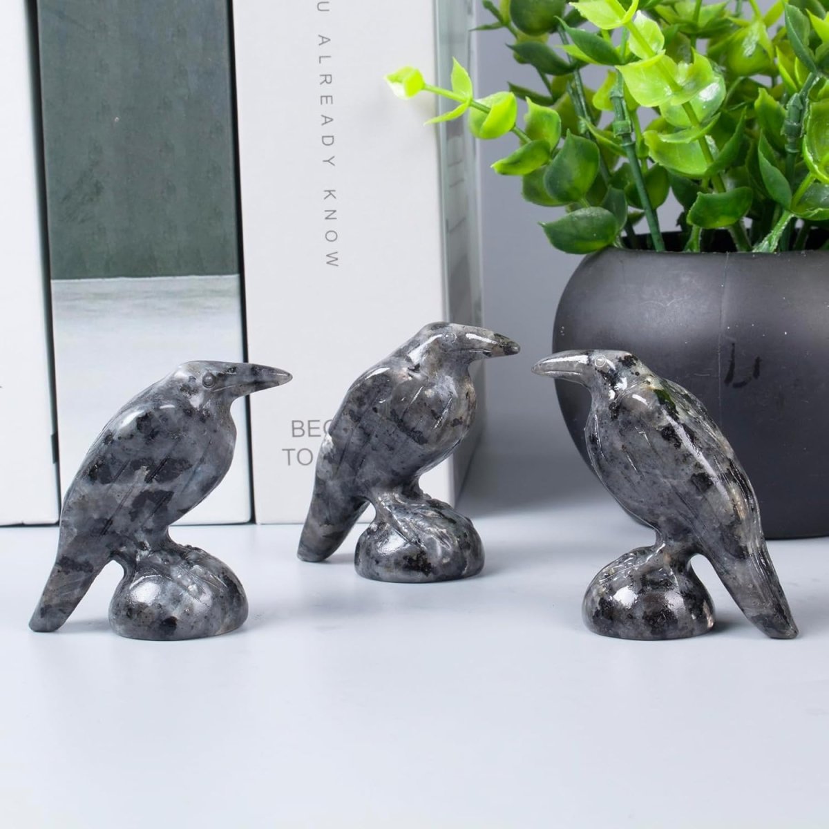 QLRSUXN Natural Black Obsidian Raven Figurines,2 Inch Healing Crystal Animal Statues,Lucky Guardian Pocket Crow Figurines as Women’s Gifts,Raven Statues for Office Home Decor and Ornament. - Homesidy.com